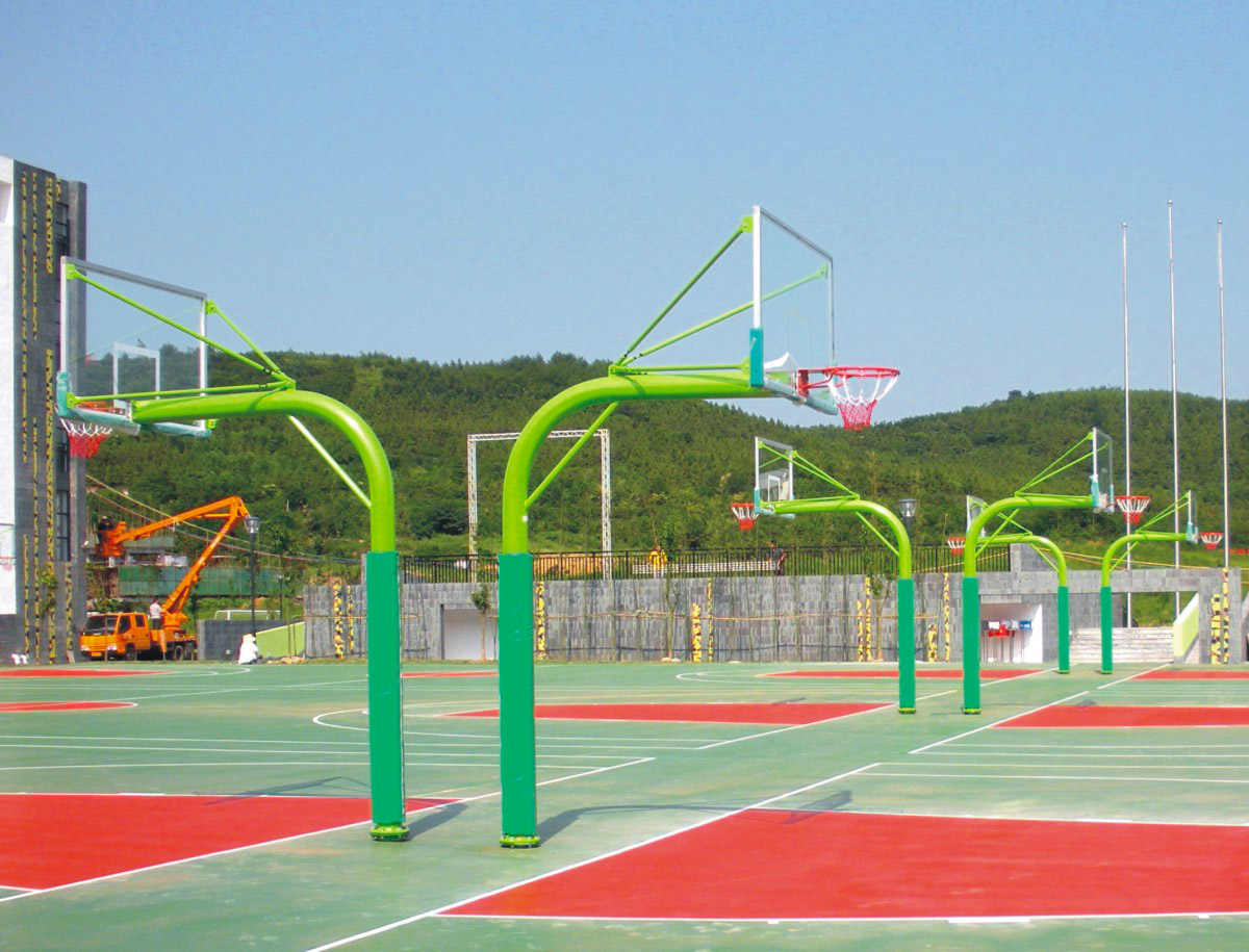 1529501836557691.jpg 2018z6com·尊龙(中国)时凯集团体育画册修改稿-qu.jpg